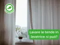Tende chiare drappeggiate su una finestra, con una pianta in vaso sul davanzale. Il testo chiede: "Lavare le tende in lavatrice: si può?".