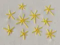 Piccole stelle gialle ricamate a punto pieno su tessuto bianco. Un esempio di come ricamare una stella a punto pieno.
