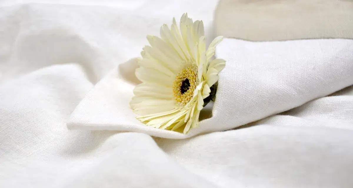 Un fiore bianco su lenzuola candide, come dopo aver provato a sbiancare lenzuola ingiallite con candeggina.