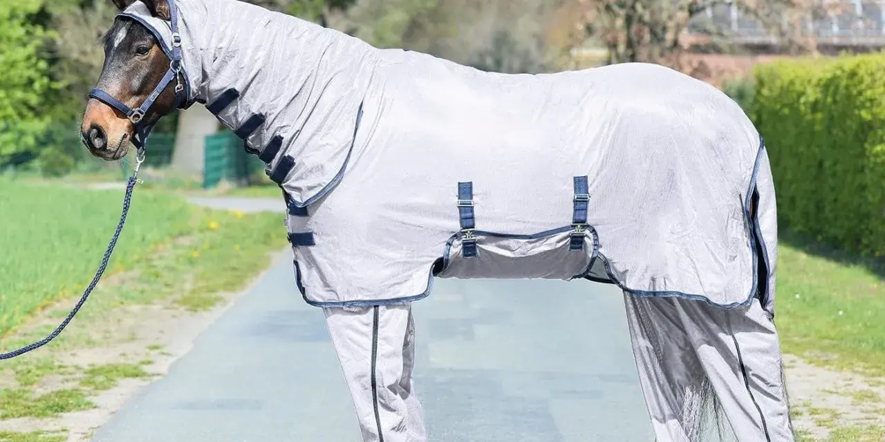 A horse wearing a full body fly sheet and leg covers stands on a path outdoors.