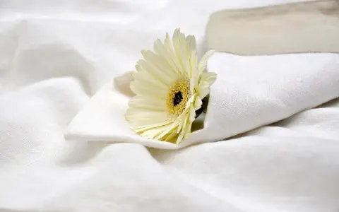 Un fiore bianco su lenzuola candide, come dopo aver provato a sbiancare lenzuola ingiallite con candeggina.