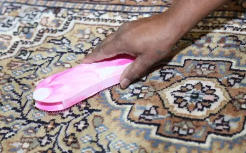 Mano che pulisce un tappeto persiano con una spazzola rosa. Sorprendentemente, si possono lavare i tappeti persiani in lavatrice con cura.