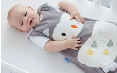 Bambino in sacco nanna con simpatico disegno di gufo. Il sacco nanna è ideale per neonati e bambini piccoli, offrendo comfort e sicurezza durante il sonno.