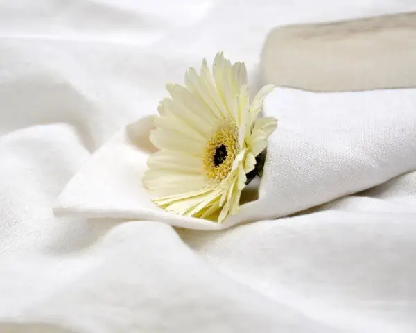 Un fiore bianco su lenzuola candide, come dopo aver provato a sbiancare lenzuola ingiallite con candeggina.