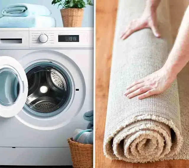 Lavatrice con cestello aperto e un tappeto arrotolato. Se la lavatrice non centrifuga il tappeto, potrebbe essere necessario un lavaggio a mano.