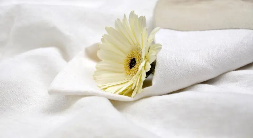 Un fiore bianco su lenzuola candide, come dopo aver provato a sbiancare lenzuola ingiallite con candeggina.