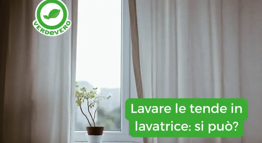 Tende chiare drappeggiate su una finestra, con una pianta in vaso sul davanzale. Il testo chiede: "Lavare le tende in lavatrice: si può?".