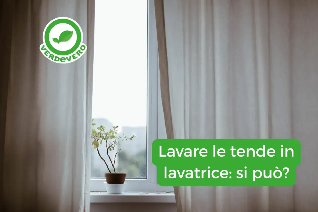 Tende chiare drappeggiate su una finestra, con una pianta in vaso sul davanzale. Il testo chiede: 