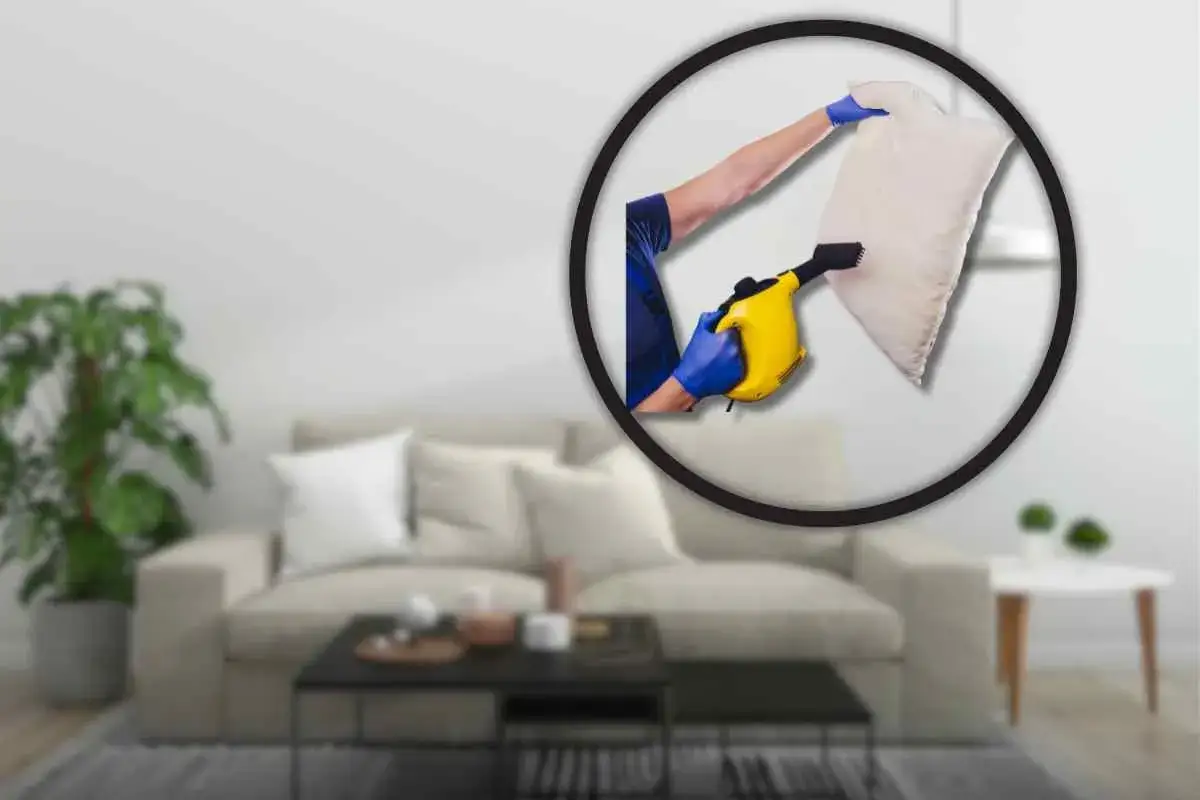 Pulizia profonda del divano per eliminare gli acari. Un braccio con guanto blu usa un pulitore a vapore giallo su un cuscino.