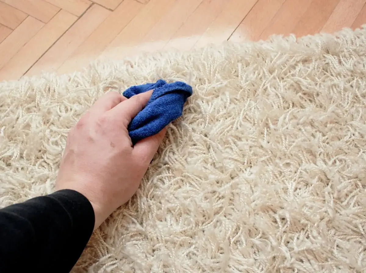 Mano che pulisce un tappeto persiano con un panno blu, usando aceto per una pulizia profonda.